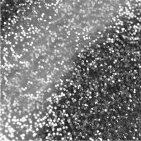 srebrny (plexi brokatowa)