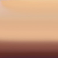 rosegold (plexi lustro)