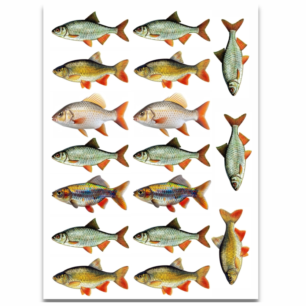 Wydruk dla wędkarza - ryby